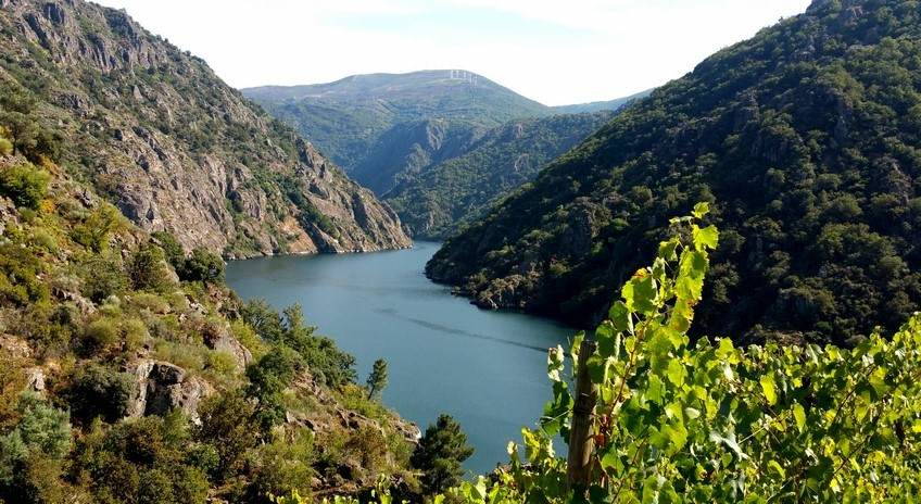 DO RIBEIRA SACRA